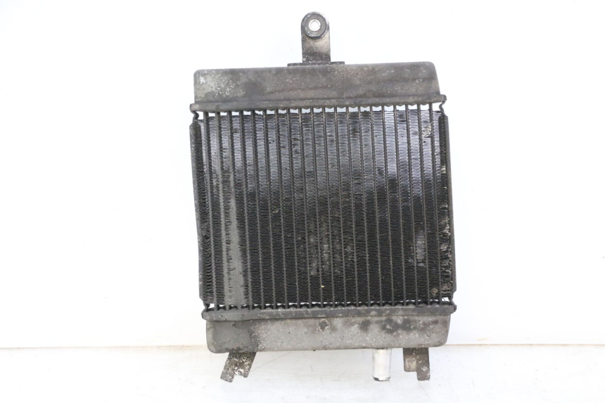 photo de RADIATEUR SUZUKI BURGMAN 125 (2015 - 2017) - Hoofdaanzicht