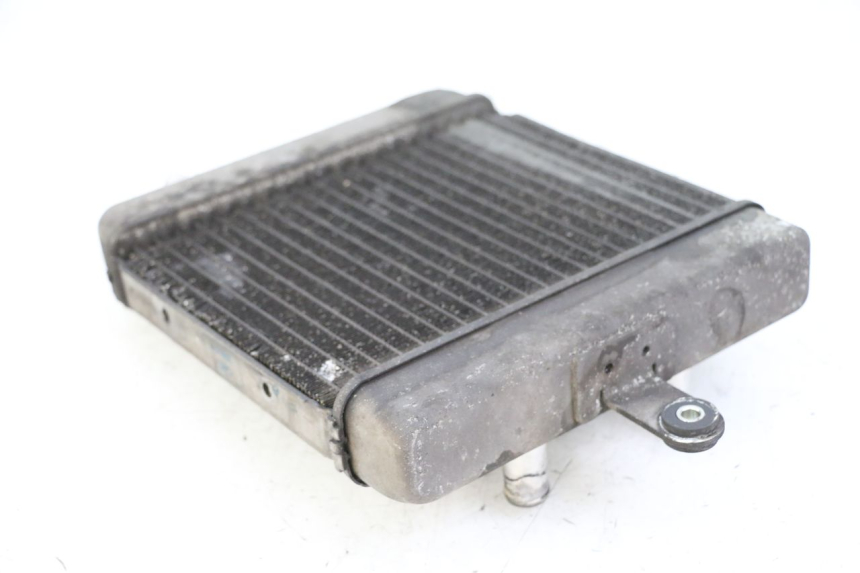 photo de RADIATEUR SUZUKI BURGMAN 125 (2015 - 2017) - Andere kijkhoek