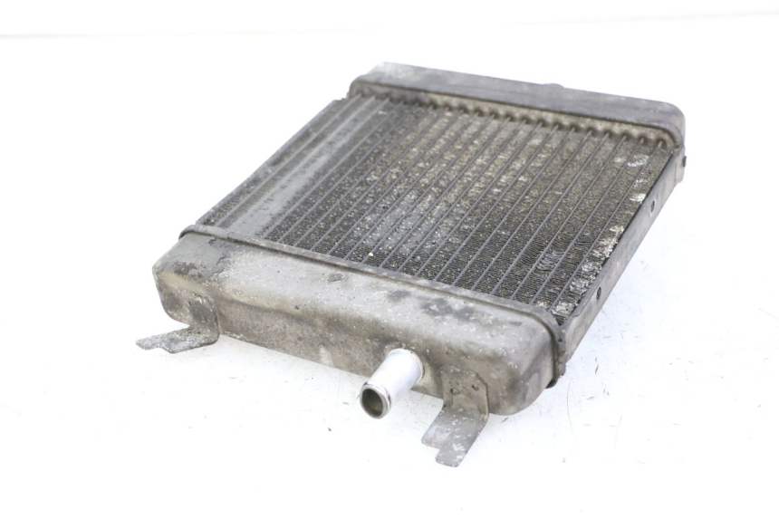 photo de RADIATEUR SUZUKI BURGMAN 125 (2015 - 2017) - Technische close-up