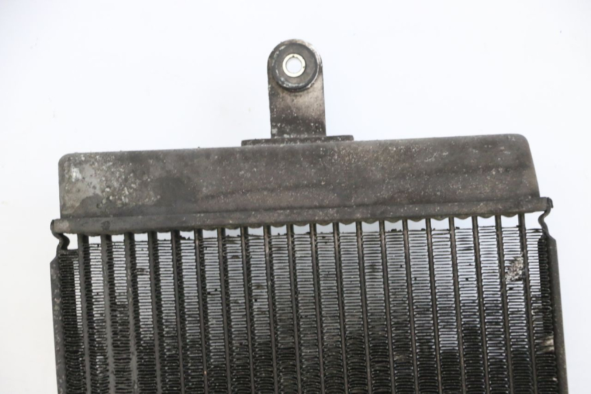 photo de RADIATEUR SUZUKI BURGMAN 125 (2015 - 2017) - Markeringen en referenties