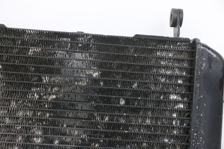 photo de RADIATEUR SUZUKI SV N 650 (1999 - 2002) - Aanvullende foto