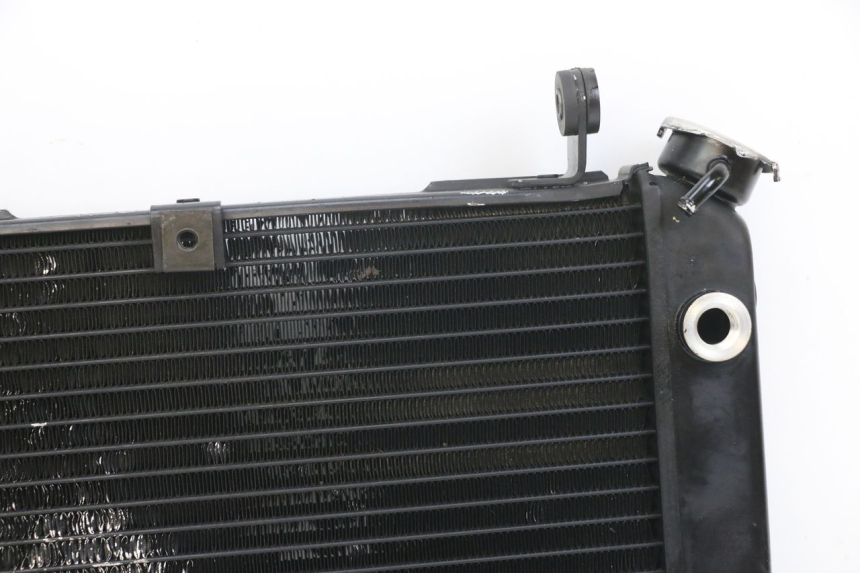 photo de RADIATEUR SUZUKI SV N 650 (1999 - 2002) - Markeringen en referenties