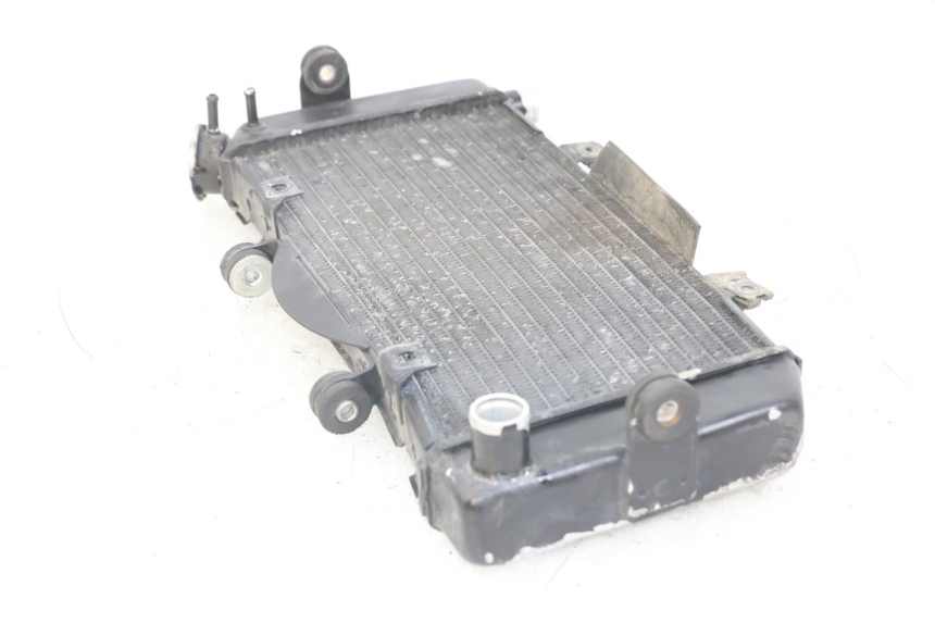 photo de RADIATEUR YAMAHA TDM ABS 900 (2002 - 2014) - Overzicht