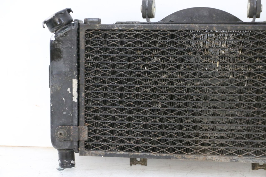 photo de RADIATEUR YAMAHA TDM ABS 900 (2002 - 2014) - Productaanzicht