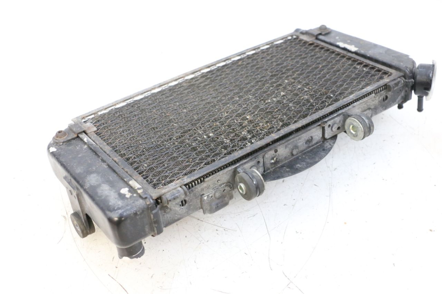 photo de RADIATEUR YAMAHA TDM ABS 900 (2002 - 2014) - Andere kijkhoek