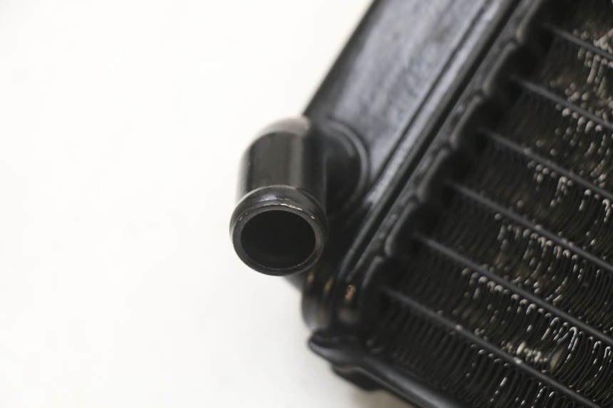 photo de RADIATEUR YAMAHA TDR DELTABOX 125 (1997 - 2003) - Detail van het onderdeel