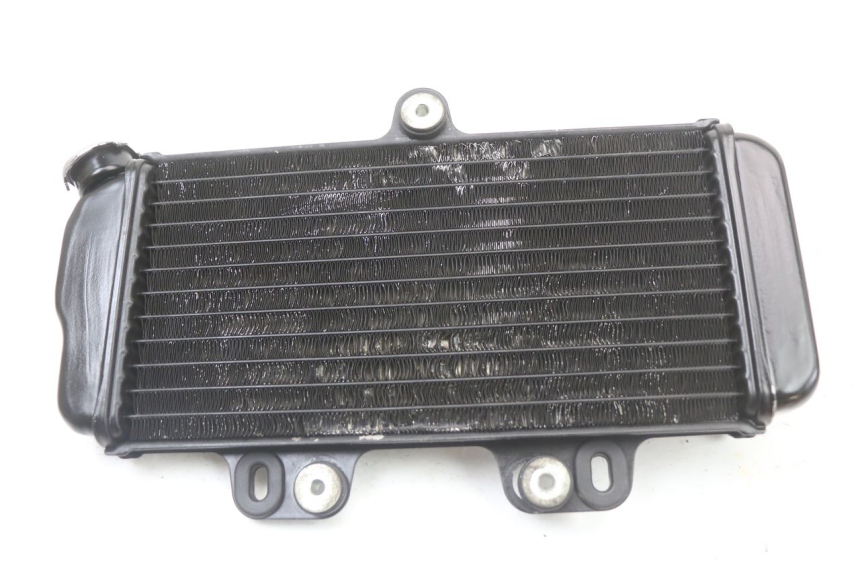 photo de RADIATEUR YAMAHA TDR DELTABOX 125 (1997 - 2003) - Overzicht