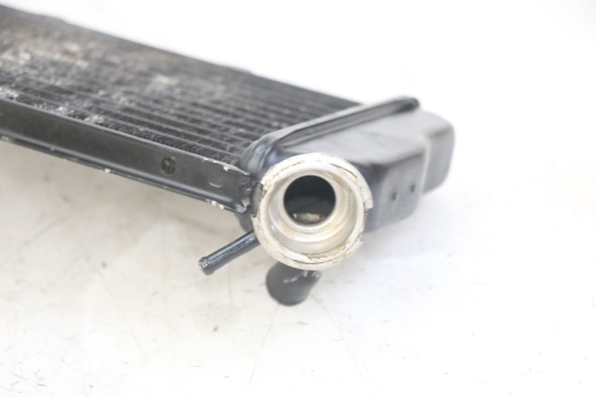 photo de RADIATEUR YAMAHA TDR DELTABOX 125 (1997 - 2003) - Kenmerkende details