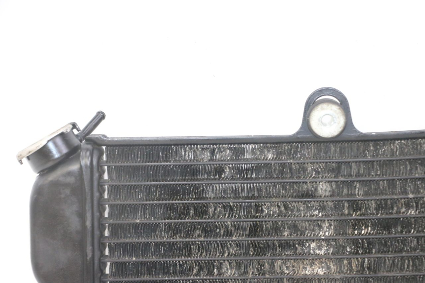 photo de RADIATEUR YAMAHA TDR DELTABOX 125 (1997 - 2003) - Overzicht