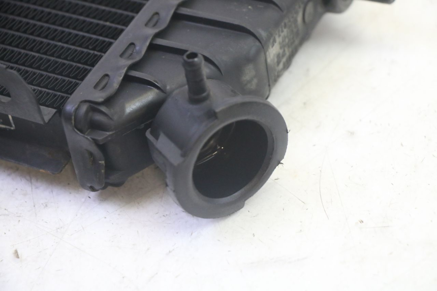photo de RADIATEUR YAMAHA TZR 50 (2008 - 2016) - Overzicht