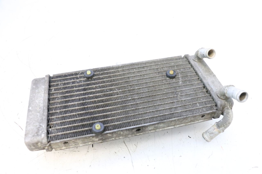 photo de RADIATEUR YAMAHA X-MAX XMAX 125 (2010 - 2013) - Zoom op gebruiksstaat