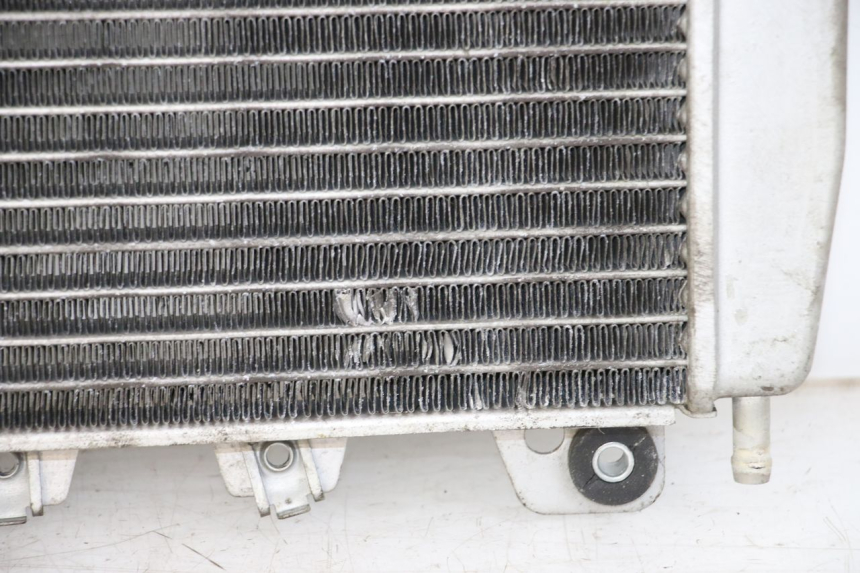 photo de RADIATEUR PIAGGIO X10 125 (2012 - 2017) - Overzicht