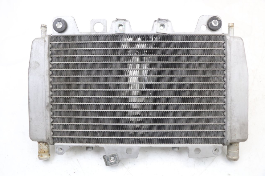 photo de RADIATEUR PIAGGIO X10 125 (2012 - 2017) - Hoofdaanzicht