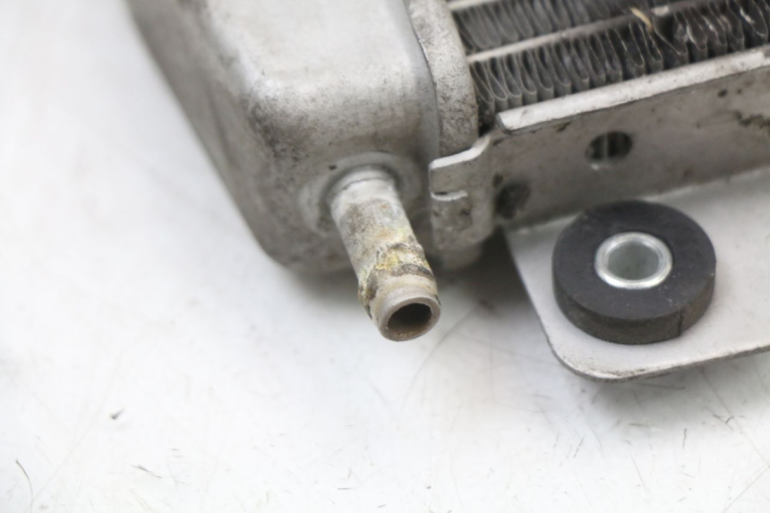 photo de RADIATEUR PIAGGIO X10 125 (2012 - 2017) - Staat van het oppervlak