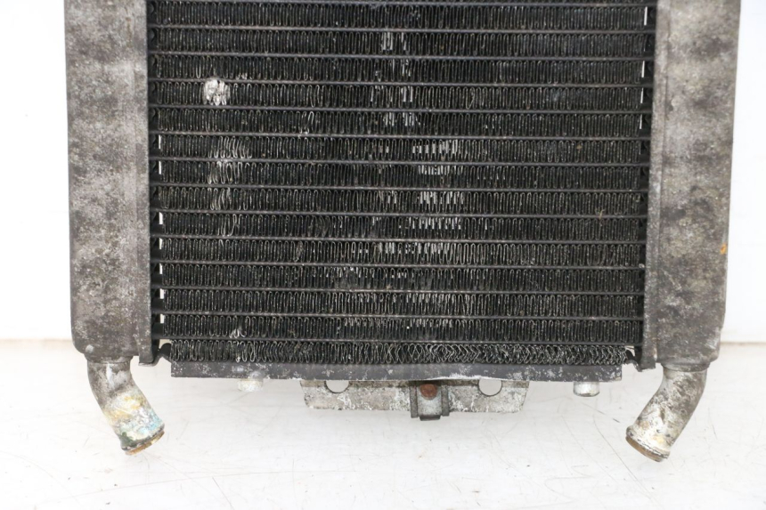 photo de RADIATEUR PIAGGIO X8 125 (2004 - 2007) - Detailaanzicht