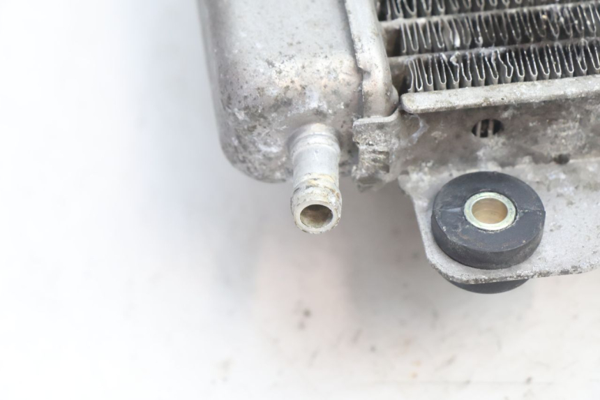 photo de RADIATEUR PIAGGIO X9 AMALFI 180 (2000 - 2003) - Productaanzicht