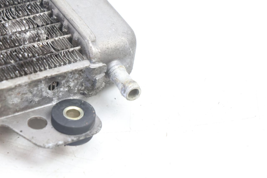 photo de RADIATEUR PIAGGIO X9 AMALFI 180 (2000 - 2003) - Kenmerkende details