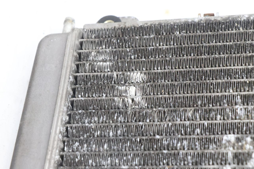 photo de RADIATEUR PIAGGIO X9 AMALFI 180 (2000 - 2003) - Technische close-up