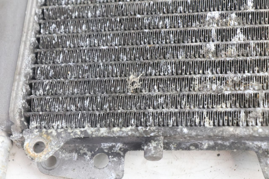 photo de RADIATEUR PIAGGIO X9 AMALFI 180 (2000 - 2003) - Overzicht