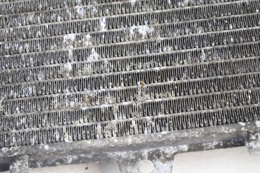 photo de RADIATEUR PIAGGIO X9 AMALFI 180 (2000 - 2003) - Bevestigingspunten