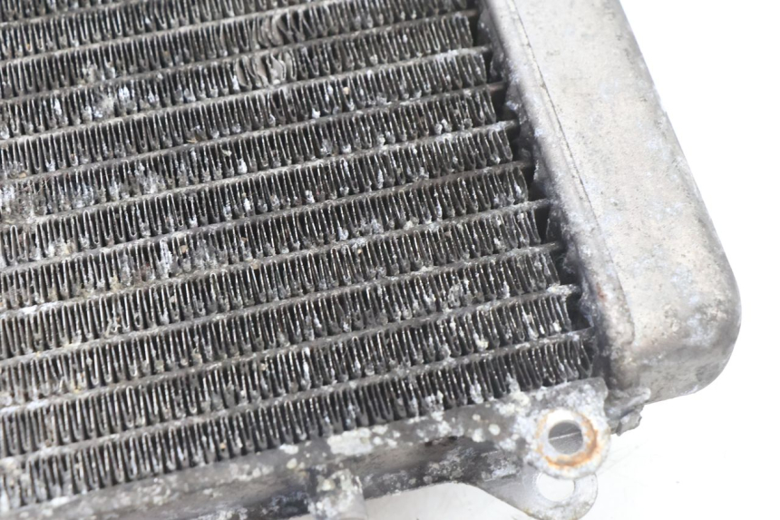 photo de RADIATEUR PIAGGIO X9 AMALFI 180 (2000 - 2003) - Staat van het oppervlak