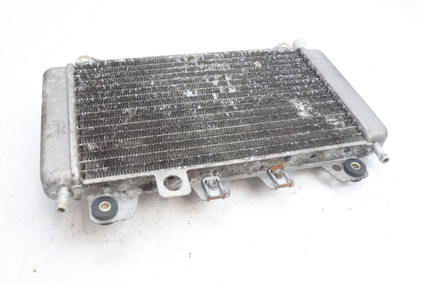 photo de RADIATEUR PIAGGIO X9 AMALFI 180 (2000 - 2003) - Markeringen en referenties