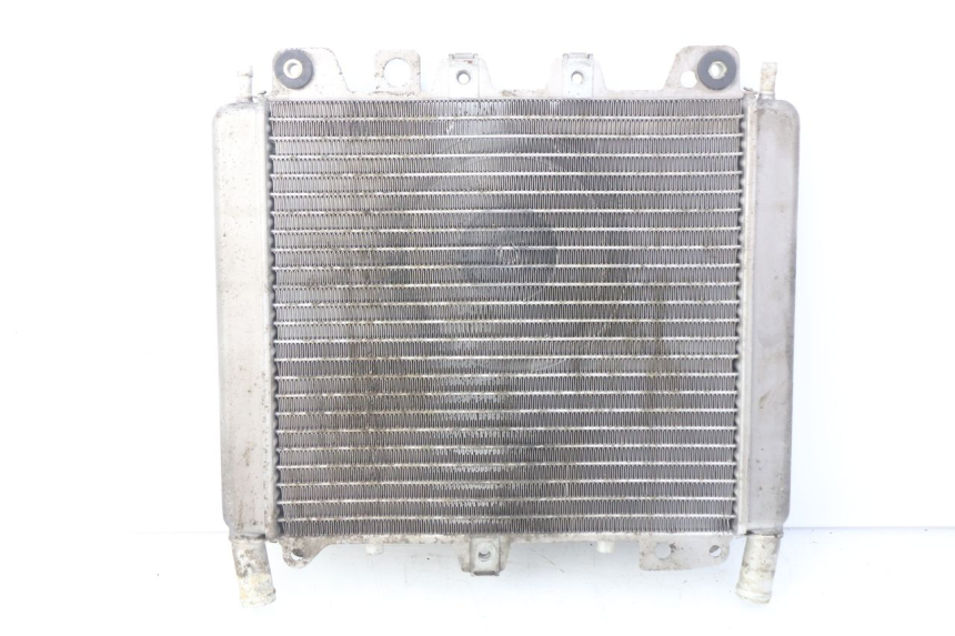 photo de RADIATEUR PIAGGIO X9 EVOLUTION 500 (2003 - 2005) - Hoofdaanzicht