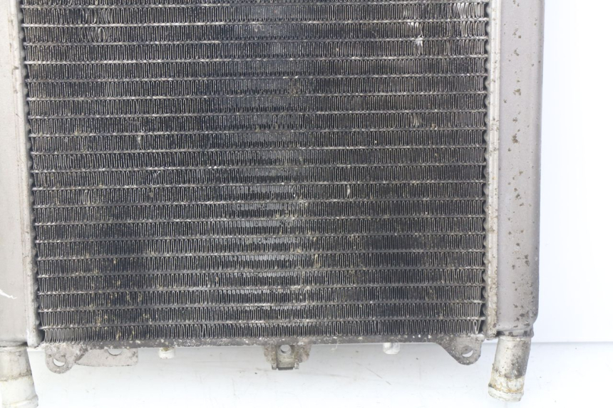 photo de RADIATEUR PIAGGIO X9 EVOLUTION 500 (2003 - 2005) - Overzicht