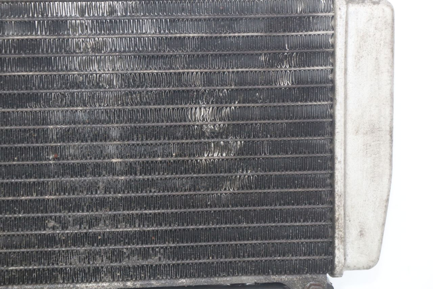 photo de RADIATEUR PIAGGIO X9 EVOLUTION 250 (2003 - 2007) - Productaanzicht
