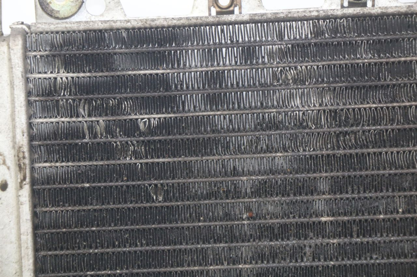 photo de RADIATEUR PIAGGIO X9 EVOLUTION 250 (2003 - 2007) - Kenmerkende details