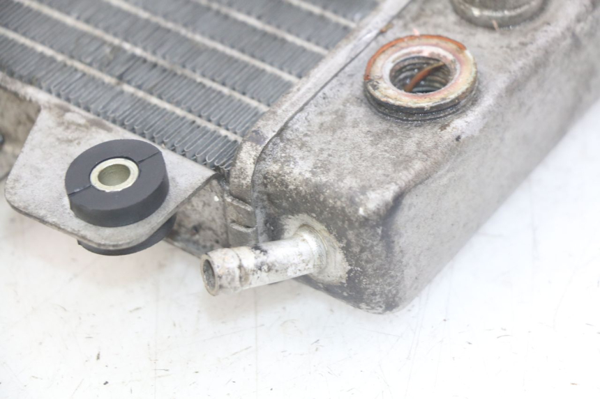 photo de RADIATEUR PIAGGIO X9 EVOLUTION 250 (2003 - 2007) - Overzicht