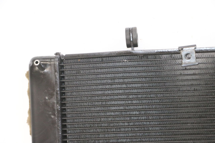 photo de RADIATEUR YAMAHA XJ6 ABS 600 (2008 - 2016) - Productaanzicht