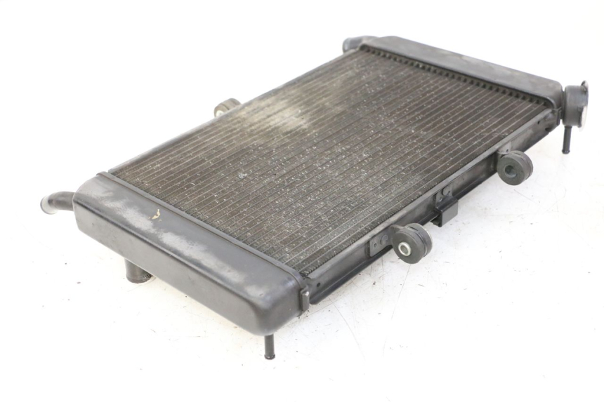 photo de RADIATEUR YAMAHA XJ6 ABS 600 (2008 - 2016) - Overzicht