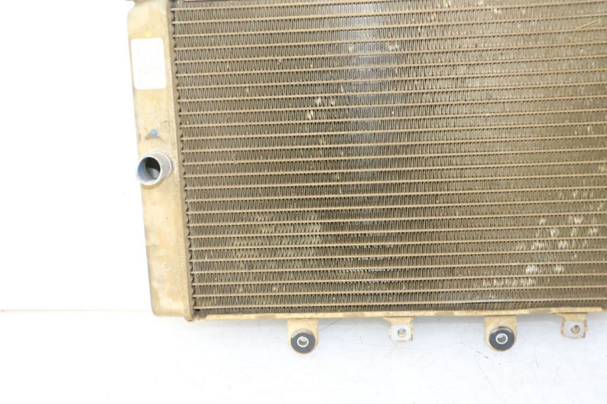 photo de RADIATEUR YAMAHA YFM GRIZZLY 550 (2008 - 2015) - Kenmerkende details