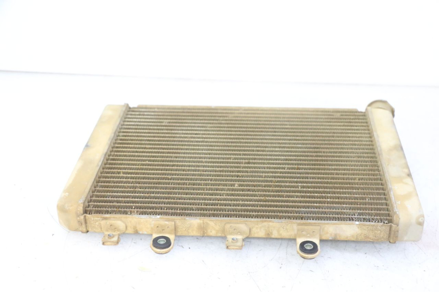 photo de RADIATEUR YAMAHA YFM GRIZZLY 550 (2008 - 2015) - Andere kijkhoek