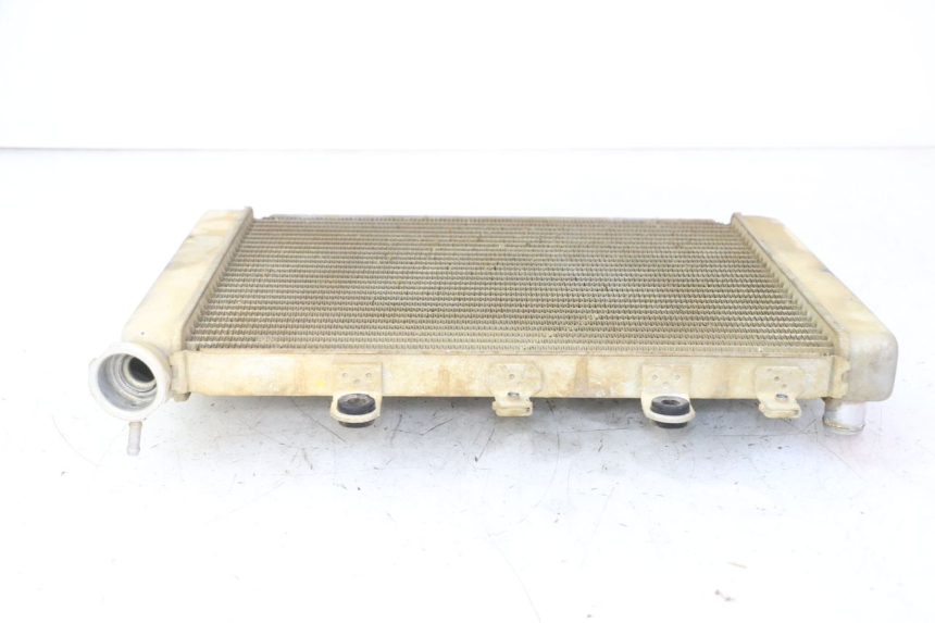 photo de RADIATEUR YAMAHA YFM GRIZZLY 550 (2008 - 2015) - Overzicht