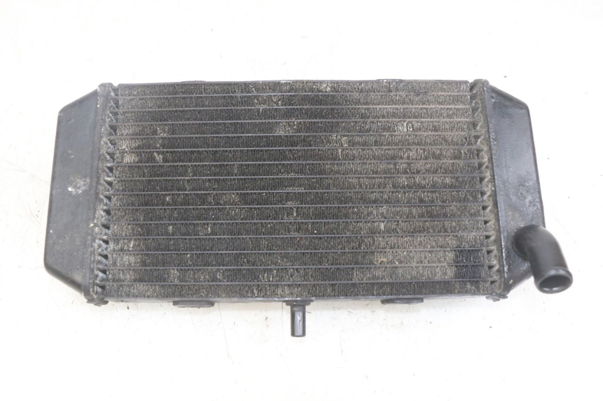 photo de RADIATEUR YAMAHA YP MAJESTY 400 (2004 - 2008) - Hoofdaanzicht