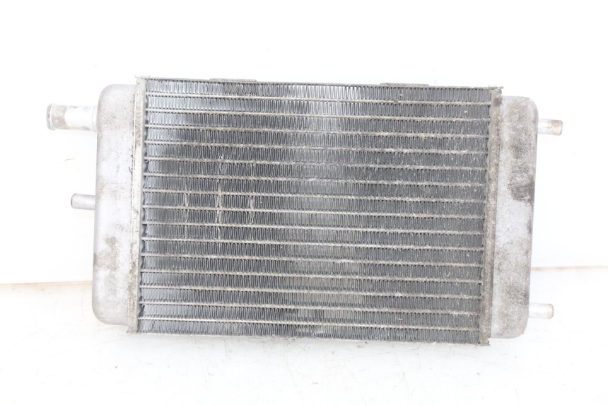 photo de RADIATEUR YAMAHA YP MAJESTY 125 (1998 - 2001) - Hoofdaanzicht