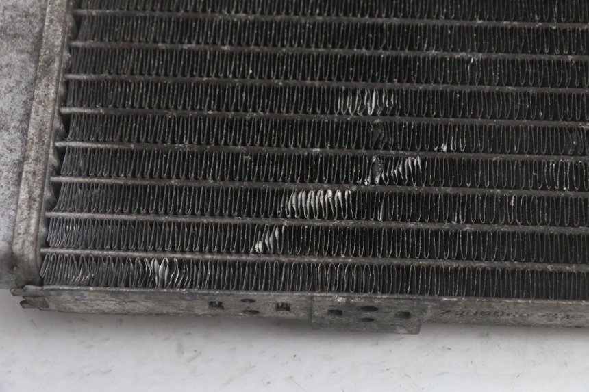 photo de RADIATEUR YAMAHA YP MAJESTY 125 (1998 - 2001) - Detail van het onderdeel