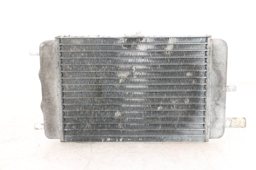 photo de RADIATEUR YAMAHA YP MAJESTY 125 (2002 - 2006) - Hoofdaanzicht