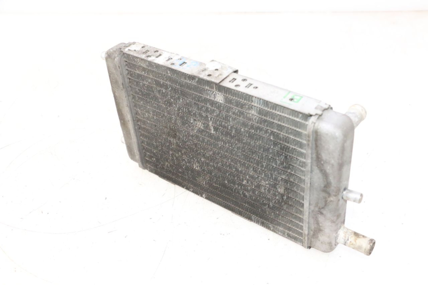 photo de RADIATEUR YAMAHA YP MAJESTY 125 (2002 - 2006) - Kenmerkende details