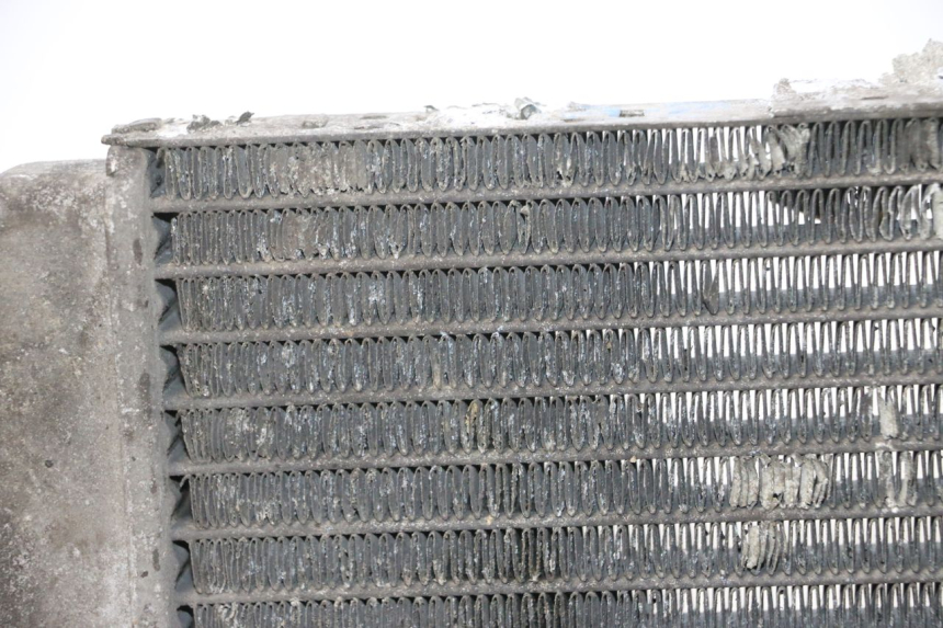 photo de RADIATEUR YAMAHA YP MAJESTY 125 (2002 - 2006) - Visuele inspectie