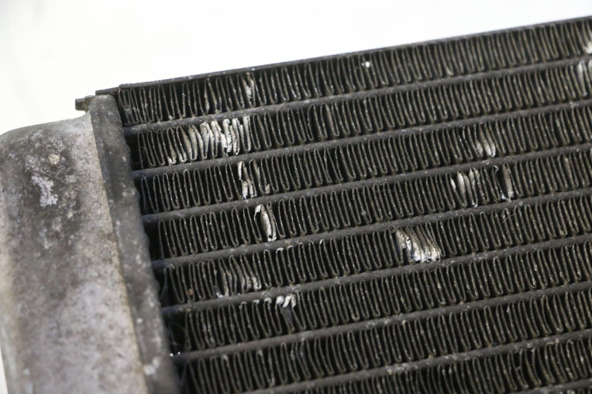 photo de RADIATEUR YAMAHA YP MAJESTY 125 (1998 - 2001) - Andere kijkhoek