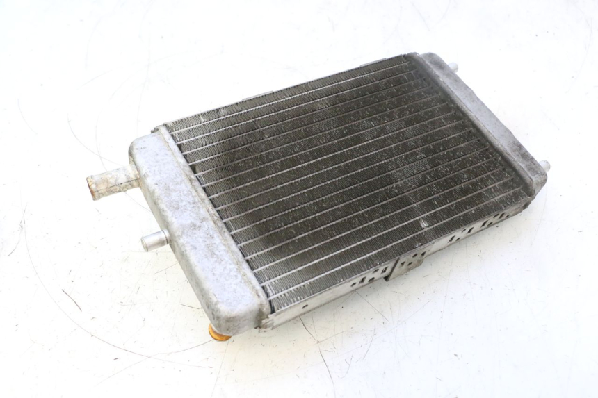 photo de RADIATEUR YAMAHA YP MAJESTY 125 (2002 - 2006) - Kenmerkende details