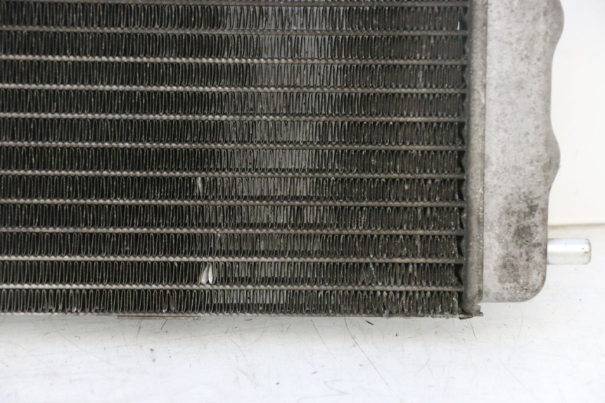 photo de RADIATEUR YAMAHA YP MAJESTY 125 (2002 - 2006) - Andere kijkhoek