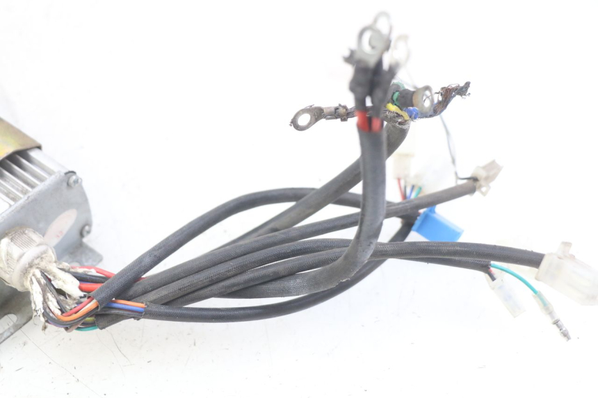 photo de ELEKTRISCH RELAIS RED ELECTRIC RED E PRO 1 (2017 - 2019) - Overzicht