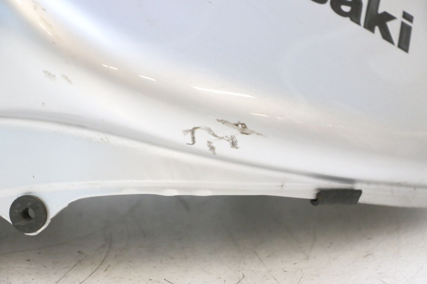 photo de BRANDSTOFTANK KAWASAKI ER-6 ER6 N 650 (2005 - 2009) - Focus op structuur
