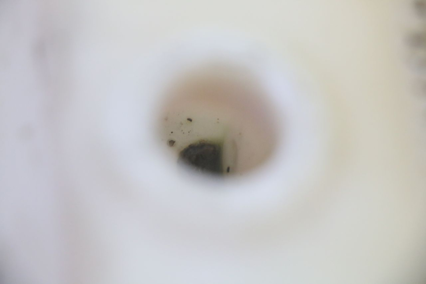 photo de OLIEBEHUIZING MBK BOOSTER SPIRIT 50 (2004 - 2017) - Zoom op gebruiksstaat