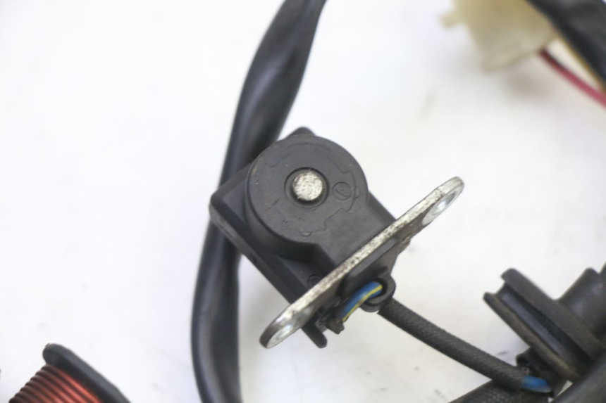 photo de ROTOR STATORE ORCAL CAVARO 4T 50 (2019 - 2023) - Overzicht