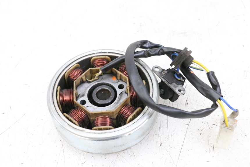 photo de ROTOR STATOREN LONGJIA DIGITA 4T 50 (2019 - 2022) - Detail van het onderdeel